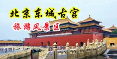 又硬又粗马鸡巴操逼视频免费看中国北京-东城古宫旅游风景区